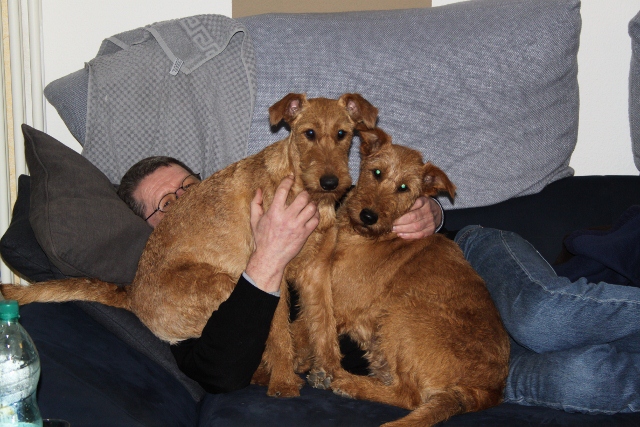 2011-01-17-hunde-couch-002-640x427